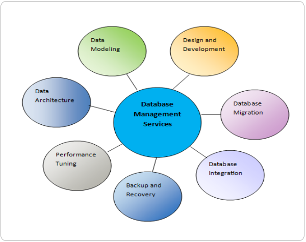 database-management-services-chart
